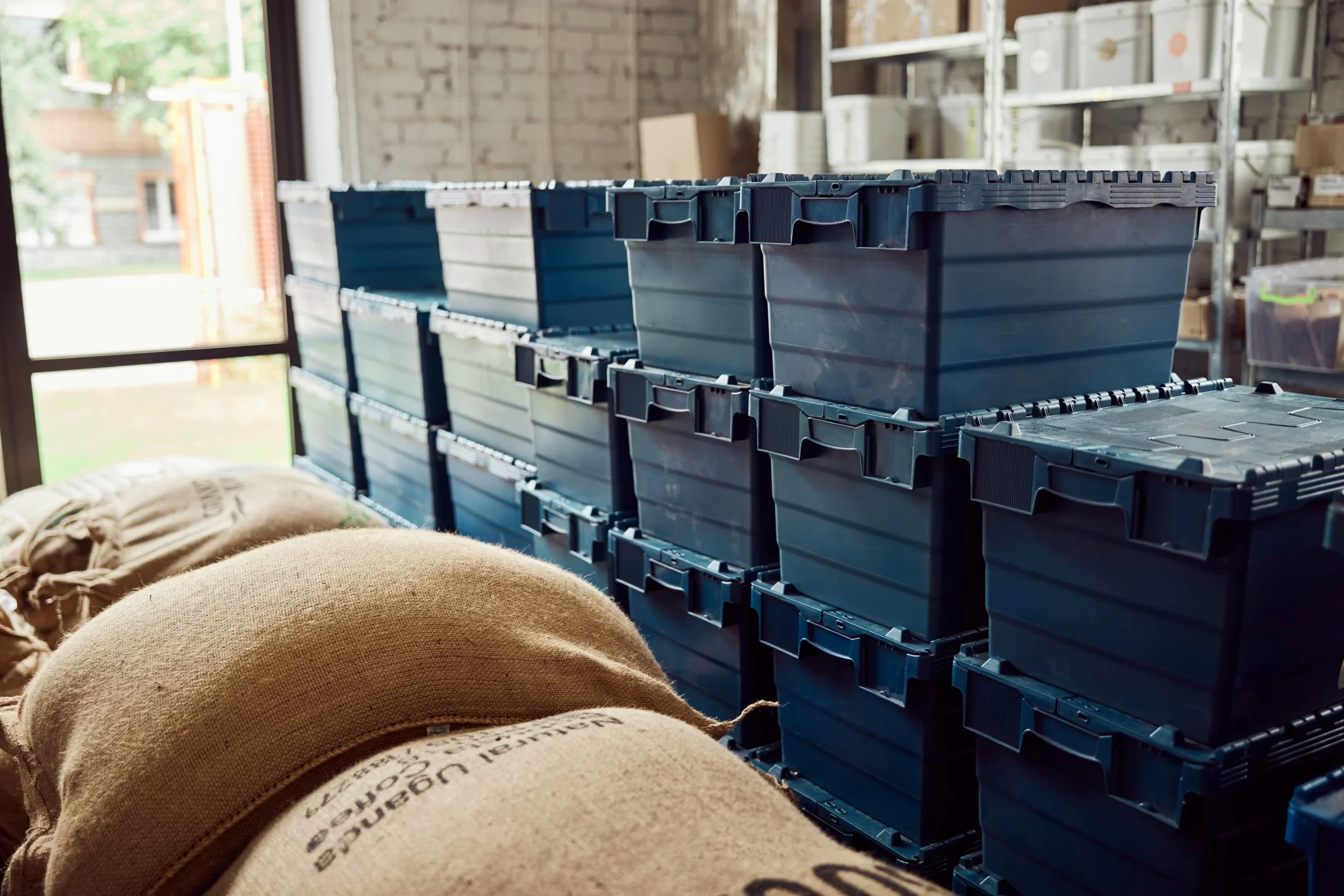 Close-up of branded export cartons, sealed packaging, and batch labels ready for inspection.