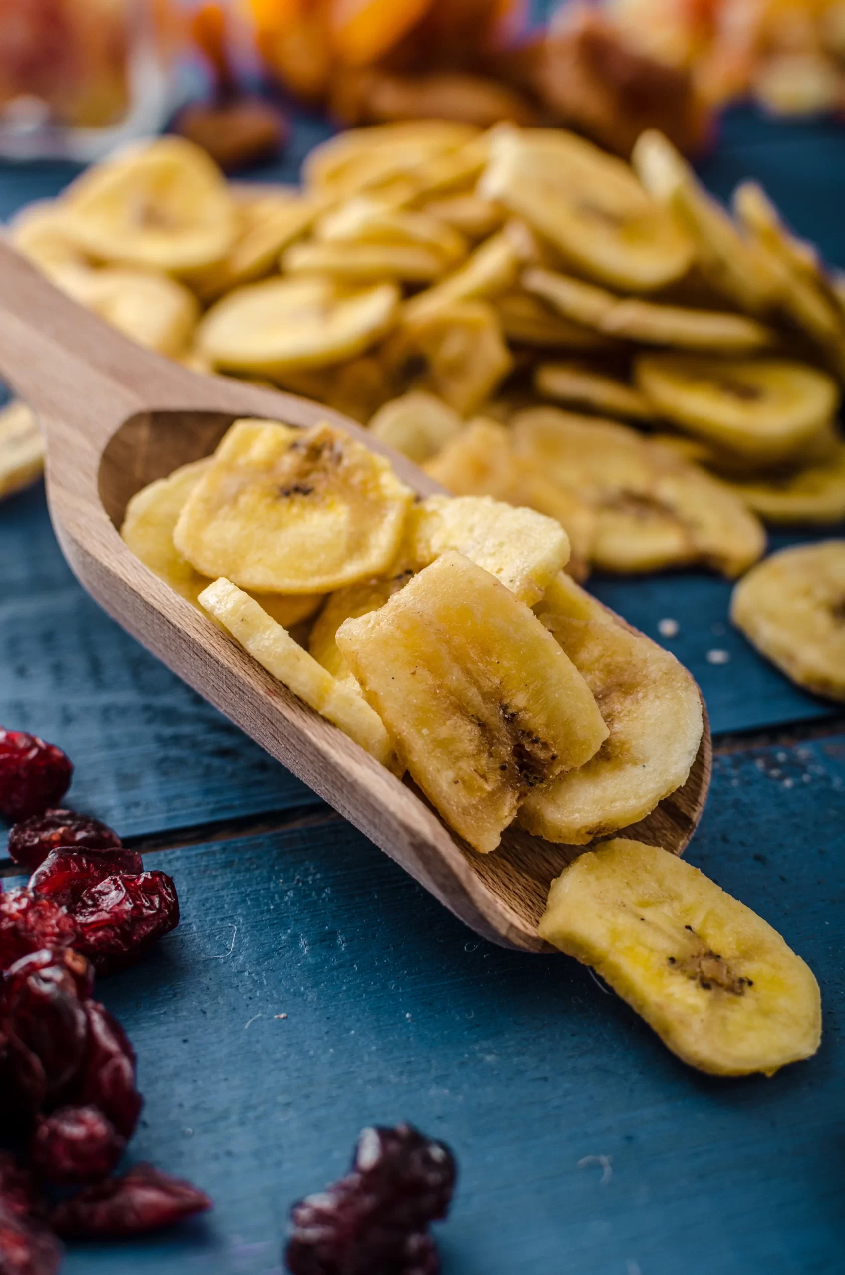 Solar-dried mango, pineapple and jackfruit