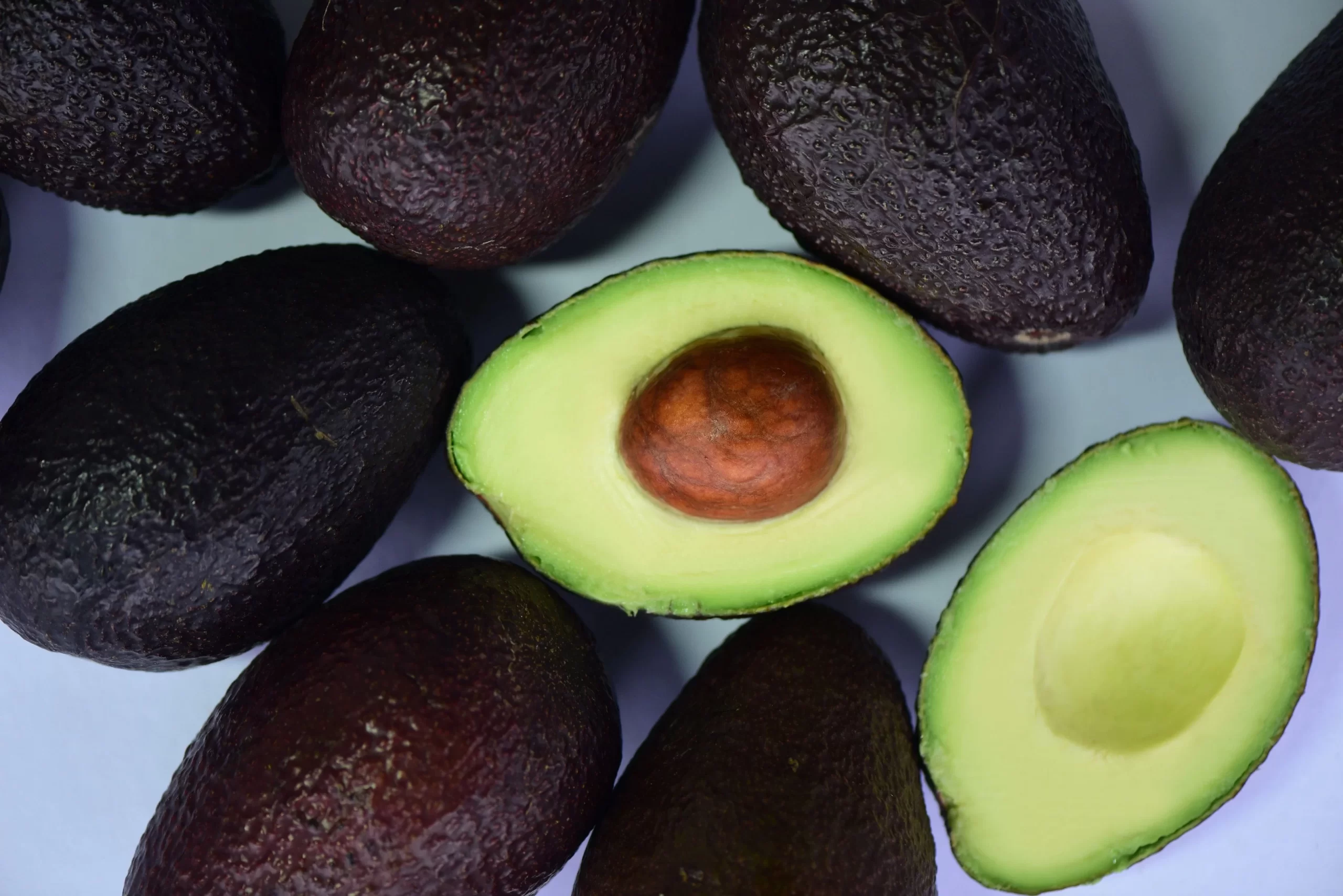 Hass avocados being sorted by hand into branded export cartons for international shipment.
